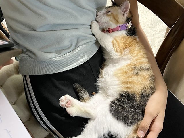 美風ちゃん、