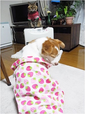 pageお二人