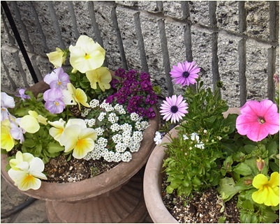 page花3