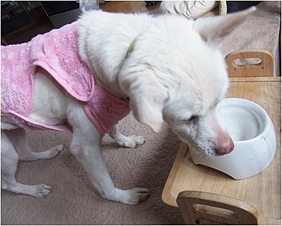 yuki_20140219151840057.jpg