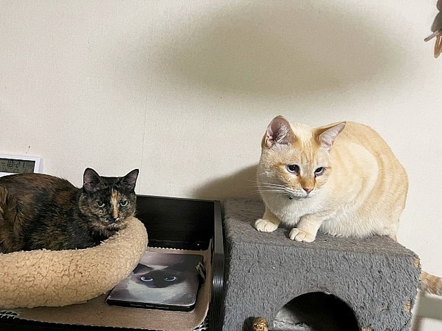 親子