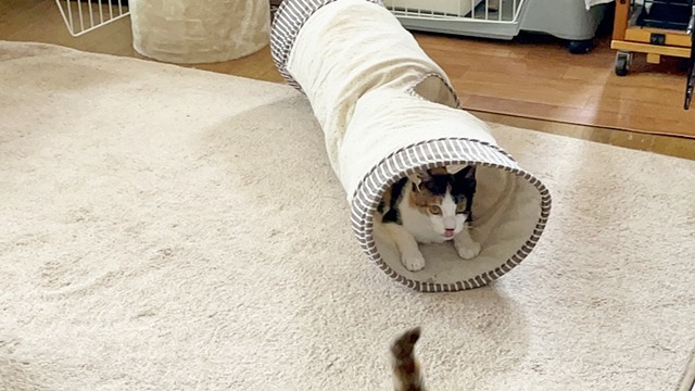 歩