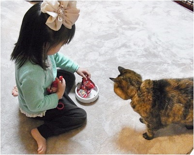 pagenanaちゃん