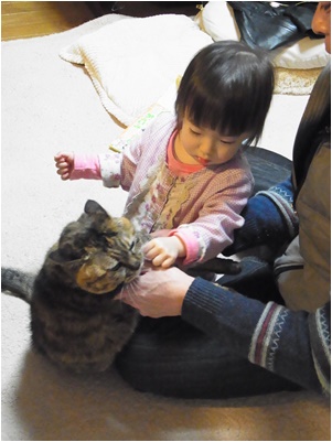 pagenanaちゃんとkoma