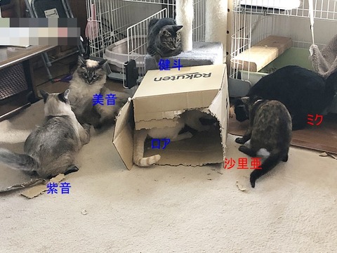 リビング