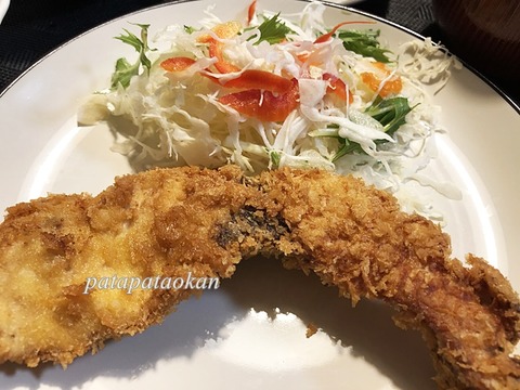 シイラ