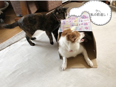 マロン