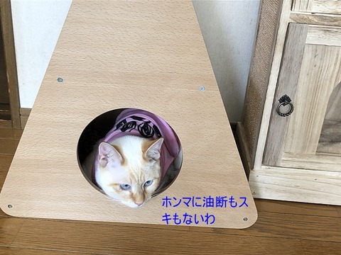 ロア３