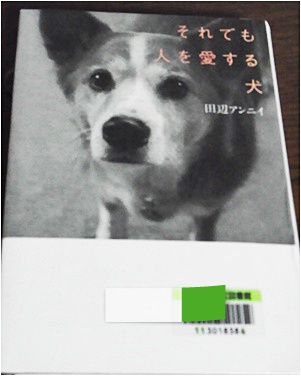 page本