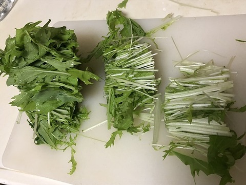 水菜