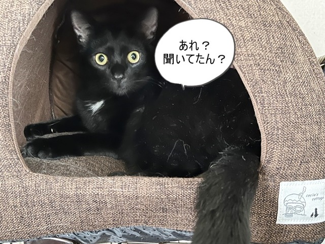 クロム2