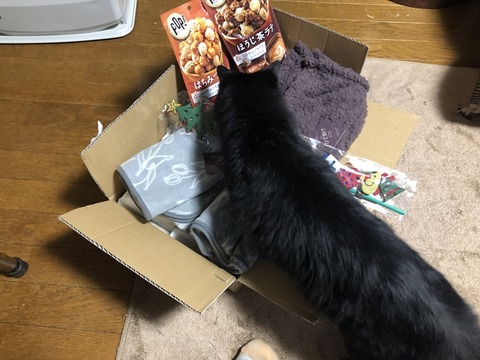 ミクと