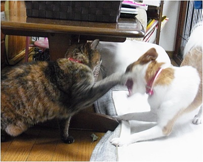 pageお二人2