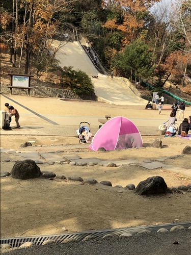 公園IMG_6661