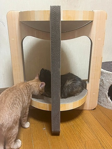 タワー