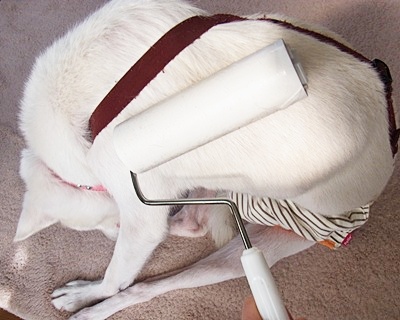 pageyuki_20140530145511361.jpg