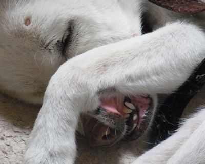 pageyuki2_20140624154039f0d.jpg