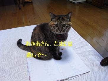 koma遊んで~