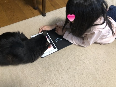 ミク