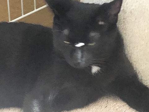 クロムアップ