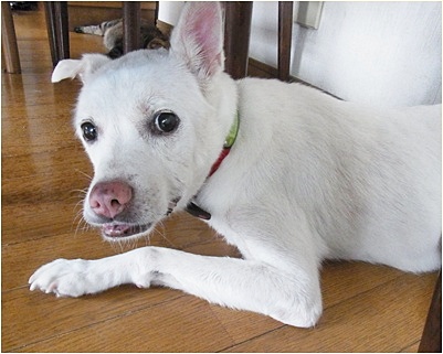yuki_2013082314434409e.jpg