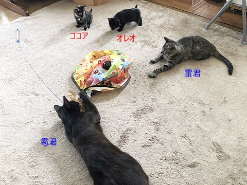 遊ぶ~