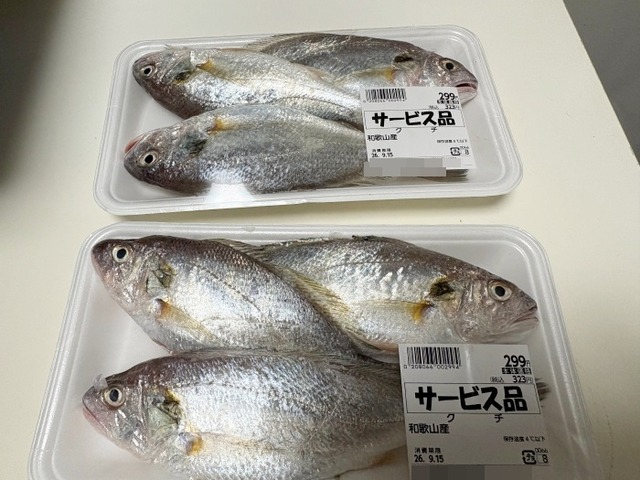 クチ