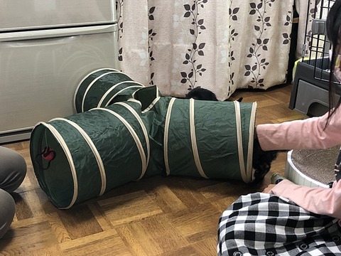 おもちゃ