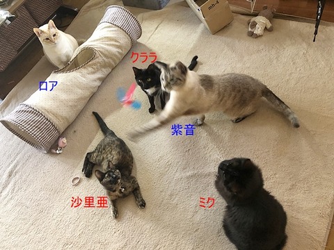 リビングで2