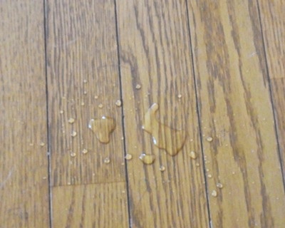 page防水