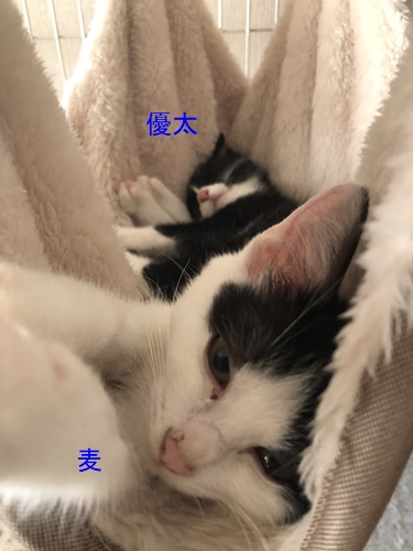 仲良し