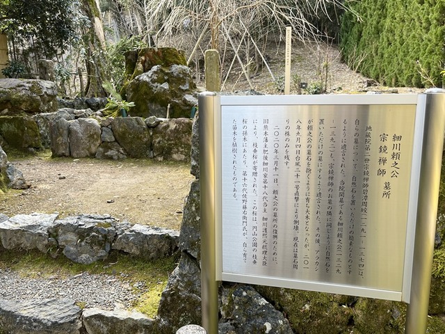 説明