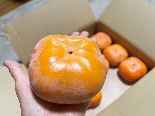 jyannbo