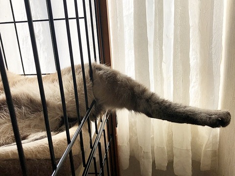 足