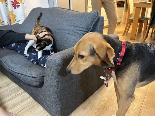 シュン