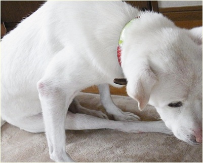 yuki2_2013111214571698a.jpg