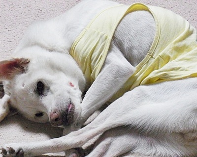 yuki_201410241522562af.jpg
