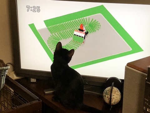 ウミ