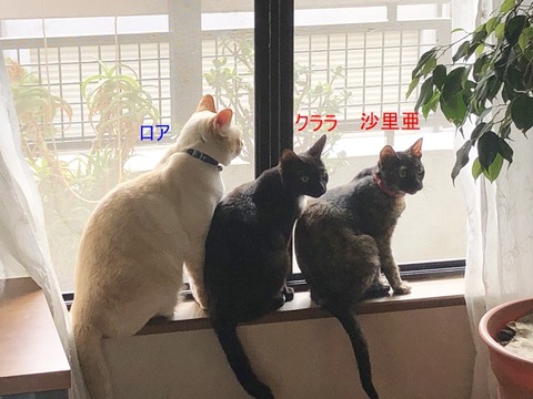 3人さん