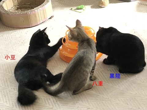 仲良し