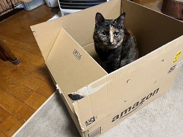 マロン