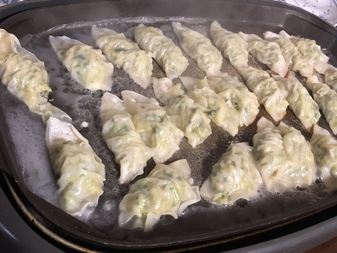 gyouza