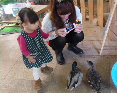 あひる