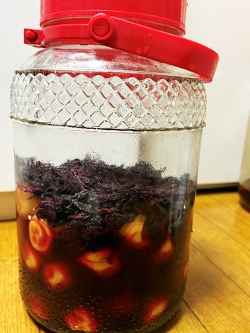 梅シソ