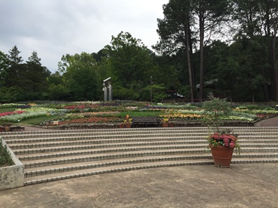 page文化園