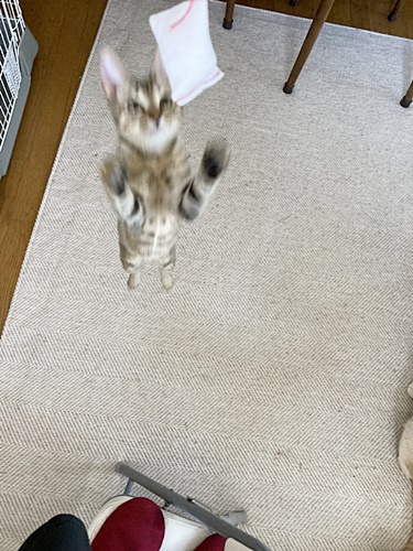 ジャンプ3