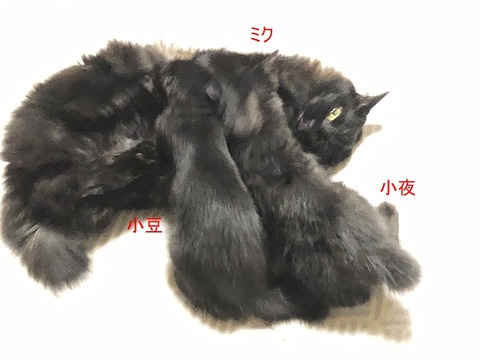 親子?