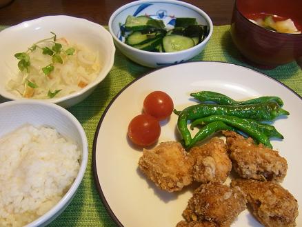 RIMG14083唐揚げ
