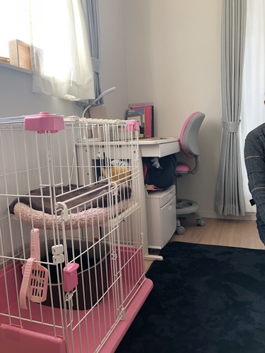 のお部屋お姉ちゃん