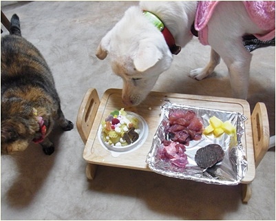 pageyukiご飯